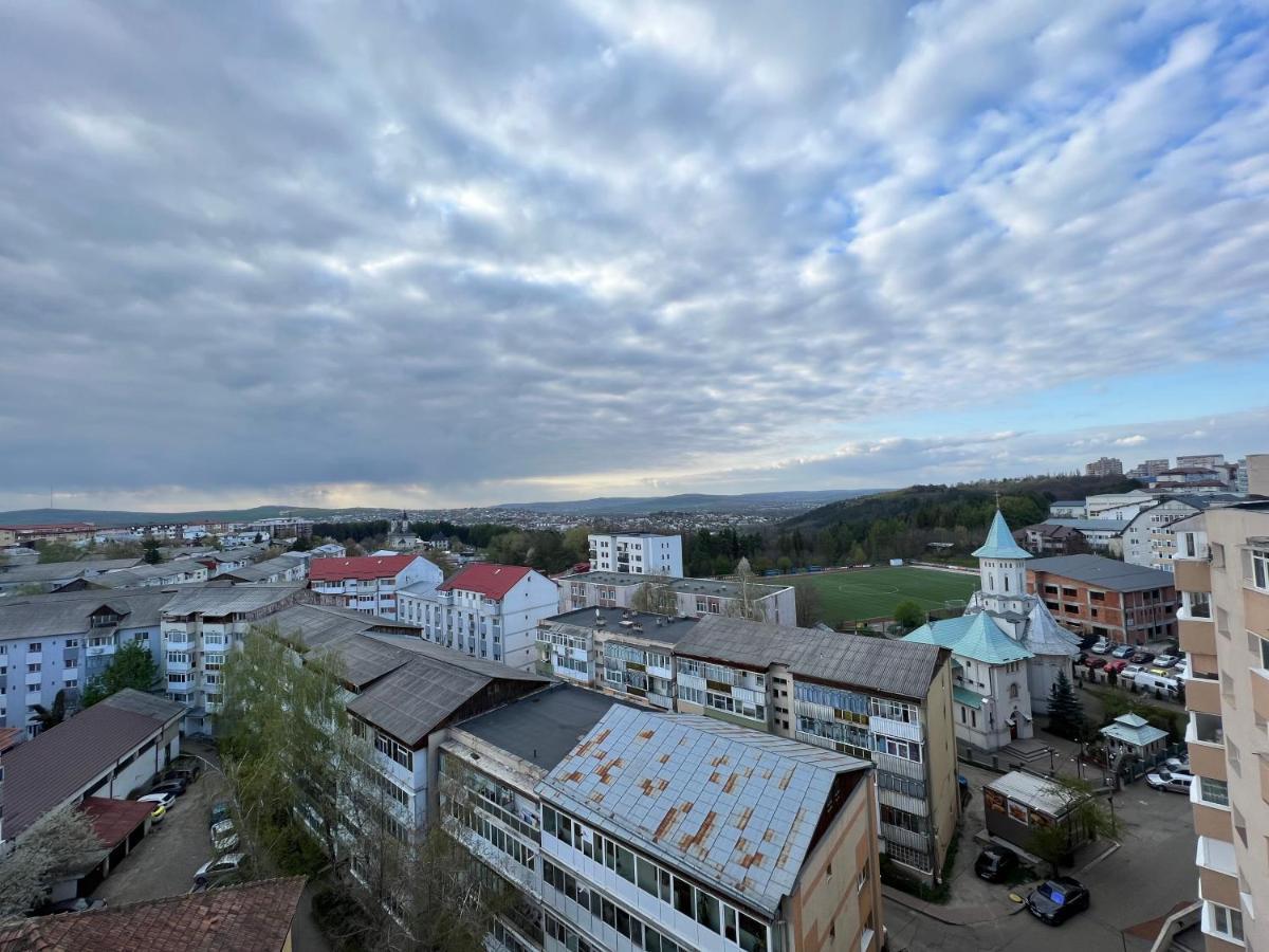 Sunny Luxury Home G. Enescu Сучеава Екстериор снимка
